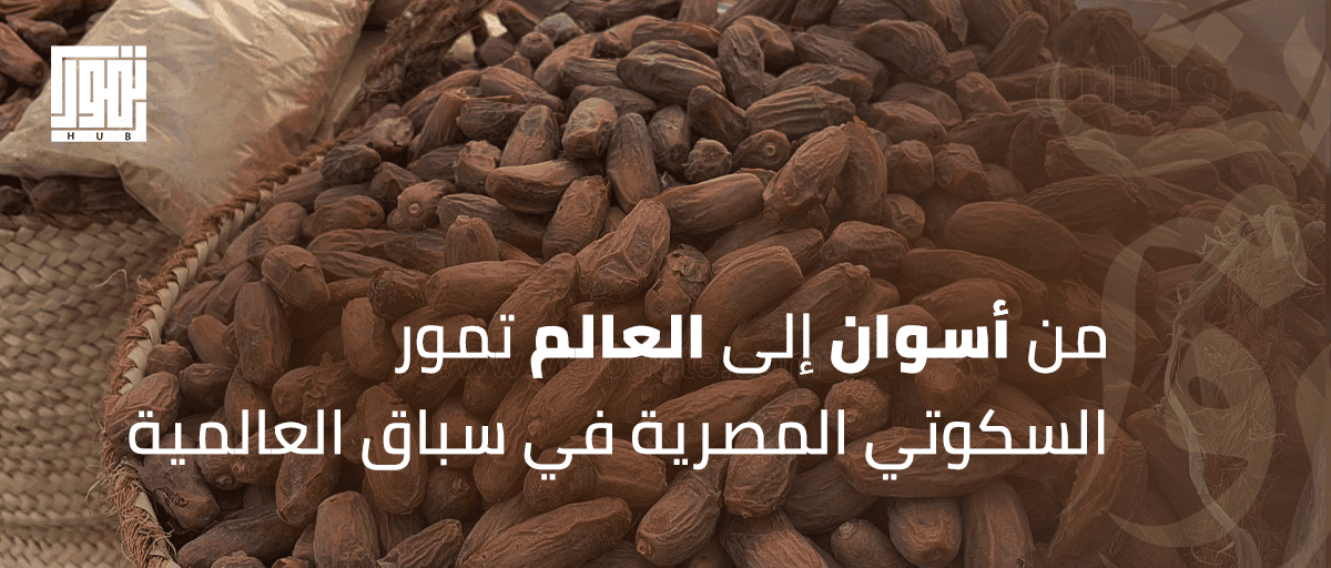من أسوان إلى العالم.. هل تعرفت على تمور السكوتي المصرية ؟