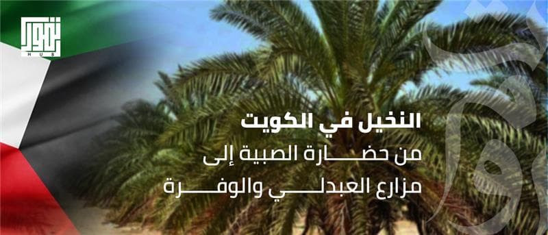 تاريخ النخيل في الكويت: من حضارة الصبية إلى مزارع العبدلي والوفرة