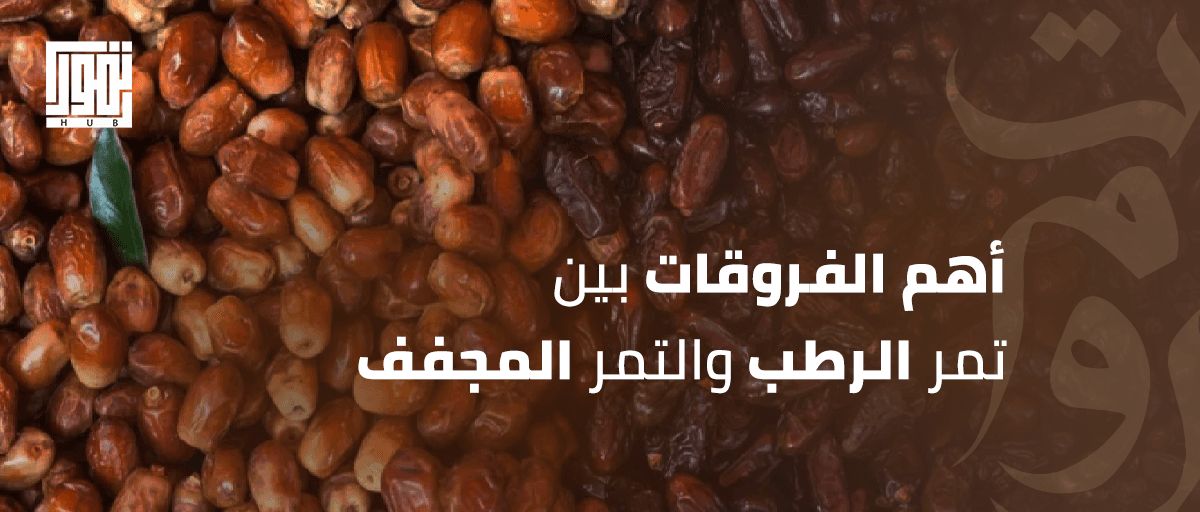 بين الرطب والتمر.. كيف تختار الأنسب لصحتك ووزنك؟