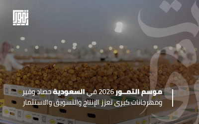 موسم التمور 2026 في السعودية.. حصاد وفير ومهرجانات كبرى تعزز الإنتاج والتسويق والاستثمار