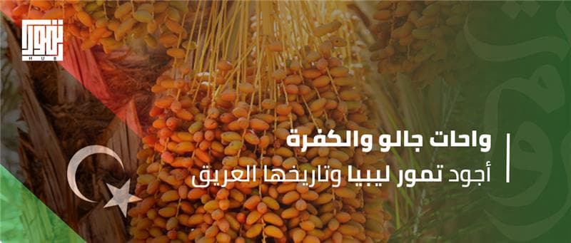 واحات جالو والكفرة: أجود تمور ليبيا وتاريخها العريق