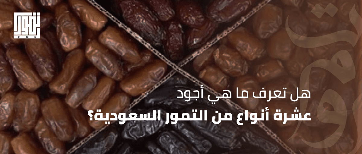 هل تعرف ما هي أجود عشرة أنواع من التمور السعودية؟: دليلك الشامل لاختيار الأفضل
