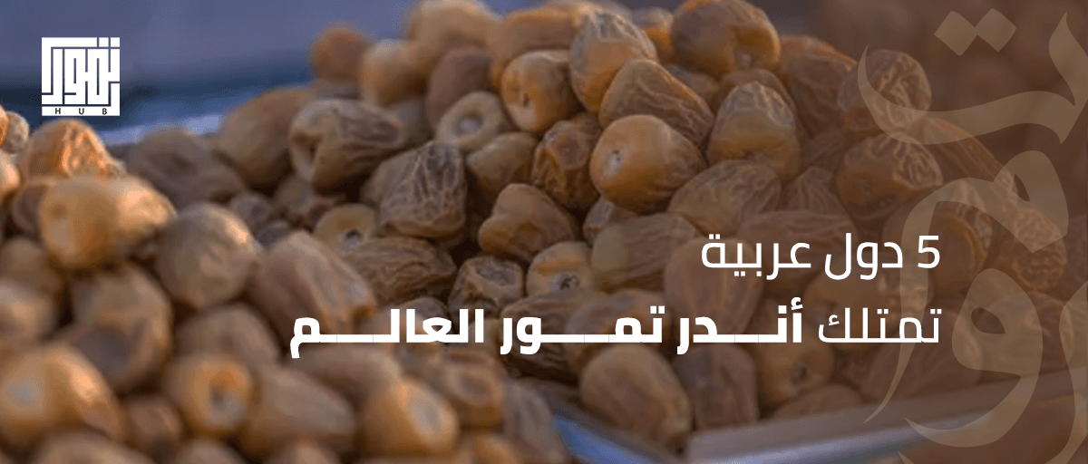 بعضها يصل إلى 200 دولار للكيلو.. 5 دول عربية تمتلك أندر تمور العالم