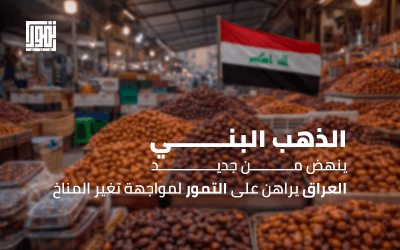الذهب البني ينهض من جديد.. العراق يراهن على التمور لمواجهة تغير المناخ