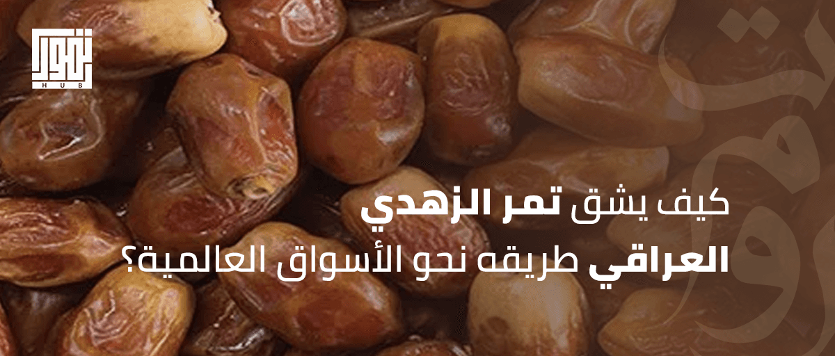 كنز بغداد الأصفر.. كيف يشق تمر الزهدي العراقي طريقه نحو الأسواق العالمية؟