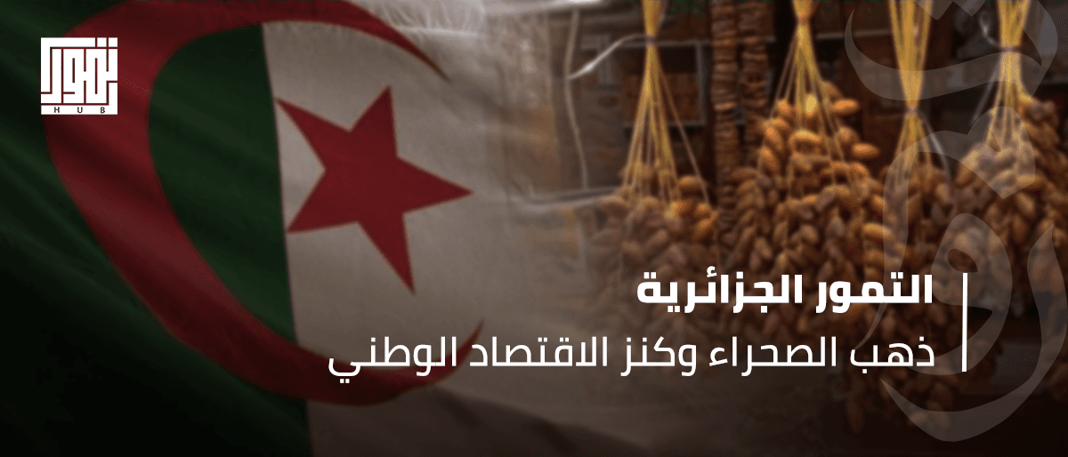 التمور الجزائرية .. ذهب الصحراء وكنز الاقتصاد الوطني