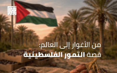 من الأغوار إلى العالم: قصة التمور الفلسطينية