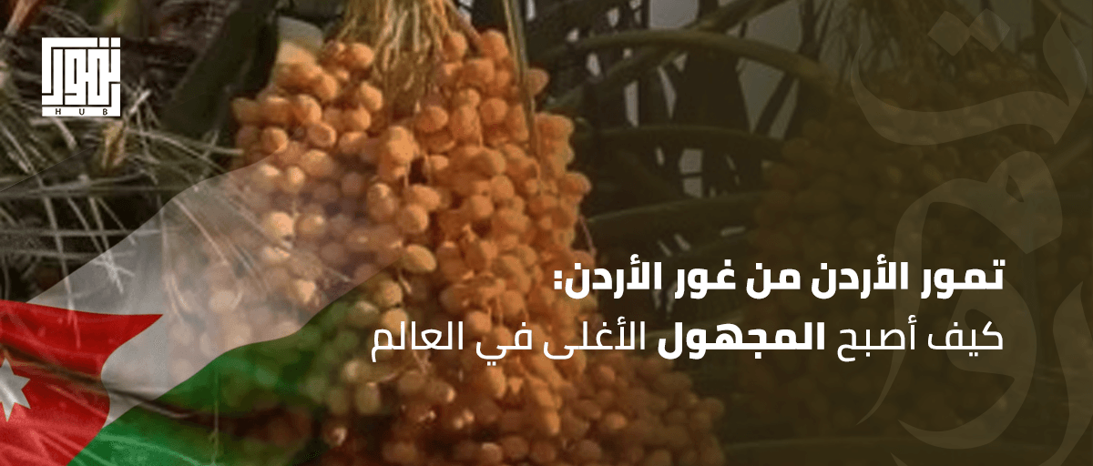 تمور الأردن من غور الأردن: كيف أصبح المجهول الأغلى في العالم؟