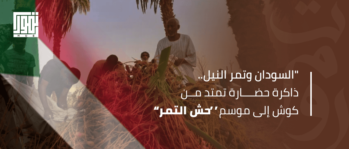 السودان وتمر النيل.. ذاكرة حضارة تمتد من كوش إلى موسم “حش التمر”