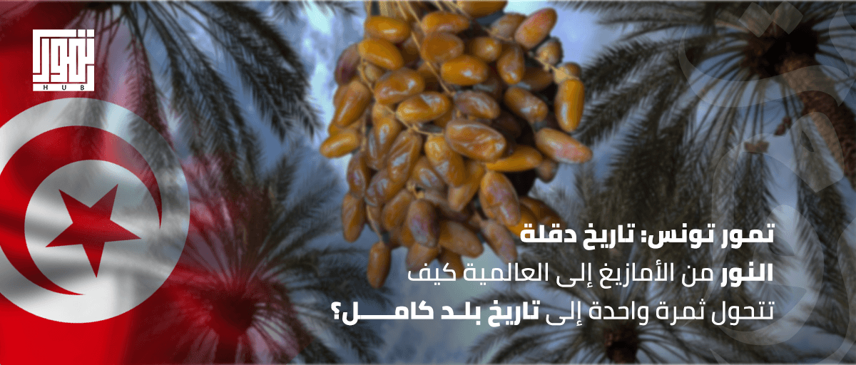تمور تونس: تاريخ دقلة النور من الأمازيغ إلى العالمية