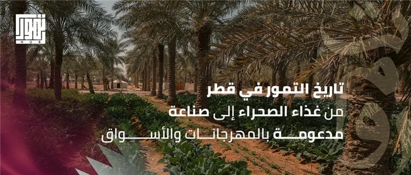 تاريخ التمور في قطر: من غذاء الصحراء إلى صناعة مدعومة بالمهرجانات والأسواق