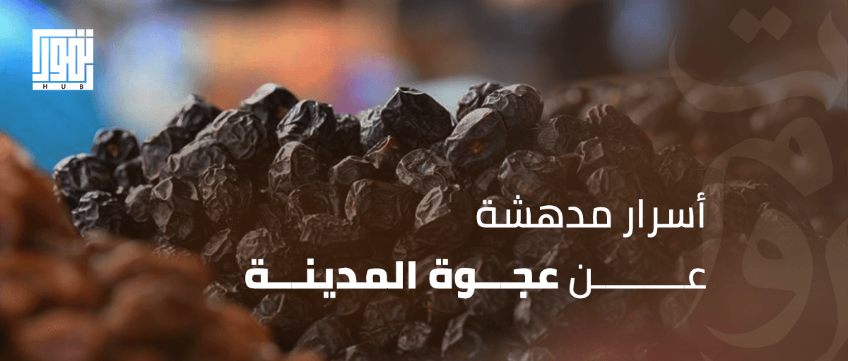 9 أسرار مدهشة عن عجوة المدينة.. وأنواعها التي لا يعرفها الكثيرون